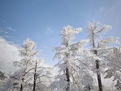-四明山国家森林公园