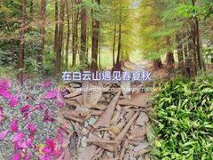 -广州市白云山风景名胜区
