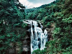 -海南热带雨林国家公园吊罗山景区