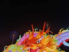 -武汉园博园(武汉自然博物馆)