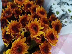 -循礼门鲜花花市(武汉循礼门店)