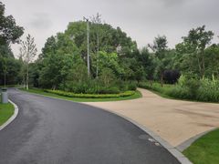 -昆山城市生态森林公园