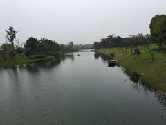 -上海多利农业发展有限公司