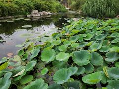 -燕郊植物园