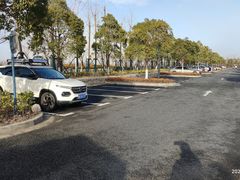 -春花秋色城市公园