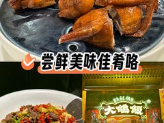 -大鸽饭(马王堆店)