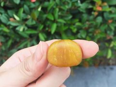 -阿男野栗王(金门路店)