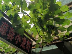 -冰冰龙虾·江湖菜·花园江景餐厅
