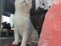 -花与咖啡馆(金星楼店)