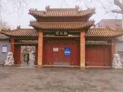 -桃花堤公园