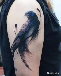 -组合纹身穿孔纹眉TATTOO