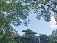 -房湖公园