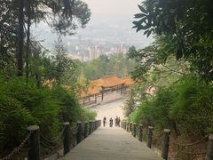 -铁山坪森林公园