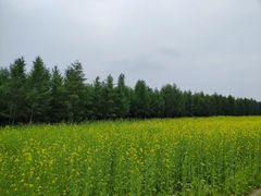 -塞罕坝国家级自然保护区