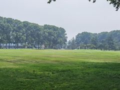 -河南省黄河迎宾馆