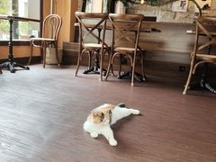 -猫岛主趣味餐厅(鼓浪屿店)