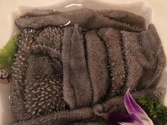 -王少龙火锅(五小区店)