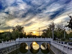 -聊城动物园