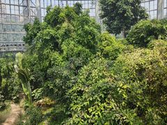 -郑州植物园