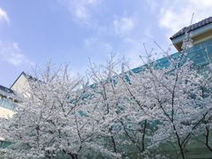 -南京国际会议大酒店