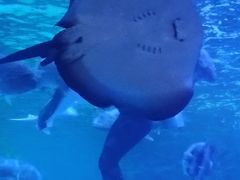 -常州海昌海洋探索馆