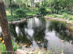 -武清南湖绿博园