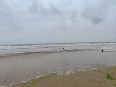 -日照海滨国家森林公园