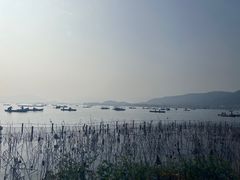 -湖畔居茶楼(湖滨店)