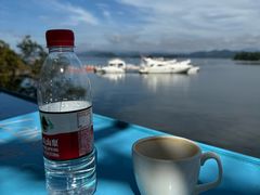 -绿城千岛湖喜来登度假酒店