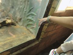 -石家庄市动物园