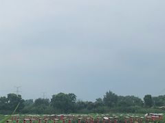 -佛手湖郊野公园
