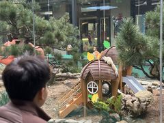 -佛冈森波拉度假区