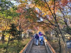 -妙峰山风景名胜区