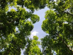 -南京金牛湖风景区