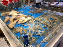 水产区-小平岛开海水饺(皇姑店)