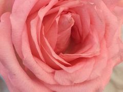 -福瑞记老孙头biangbiang面(新生路店)