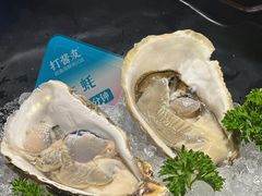 -打酱友•斑鱼海鲜粥火锅(吴桥店)