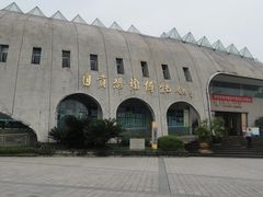 -自贡恐龙博物馆