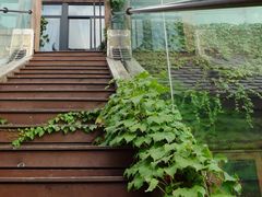 绿意盎然的楼梯-证大大拇指广场(芳甸路店)