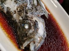 -碧丽宫大酒店(召稼楼店)