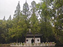 -汇龙潭