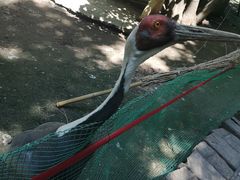 -哈尔滨北方森林动物园