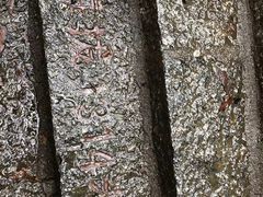 -萍乡武功山风景名胜区