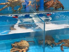 -吉之仙•中国制造•出口级食材日料店(领事馆总店)