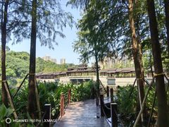 -重庆彩云湖湿地公园