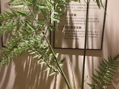 -沐善人家中医·推拿·理疗·三伏灸(新洲店)