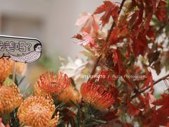 -潮一不贰·法式甜品·生日蛋糕·西式简餐(外滩店)