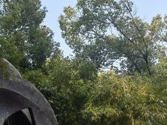 -三江森林温泉度假区