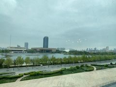 -羲和雅苑•北京烤鸭(乐园道万象城店)