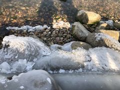 -苏州东太湖生态园